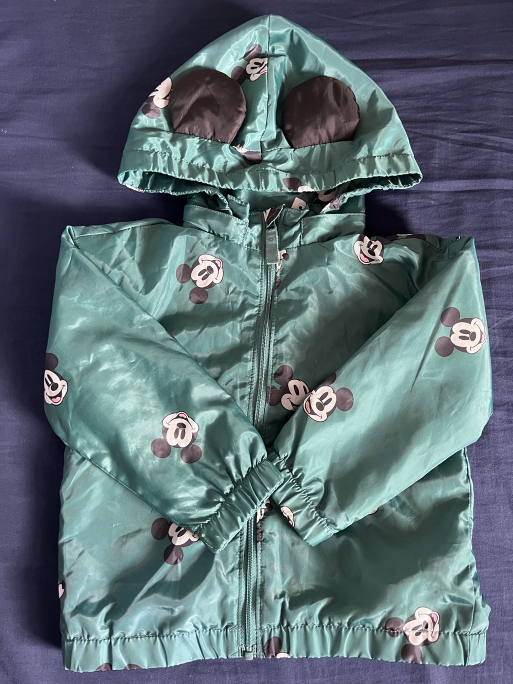 H&M Teal Green Kids Hooded Raincoat with Character Print